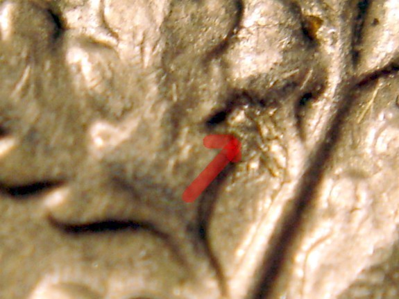 1988-P-Roosevelt-Dime--What-Is-That--Metal-Below-The-Acorn?